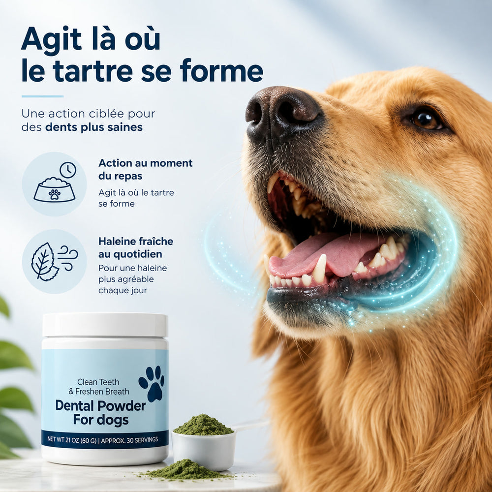 Agit là où le tartre se forme — action au moment du repas et haleine fraîche au quotidien