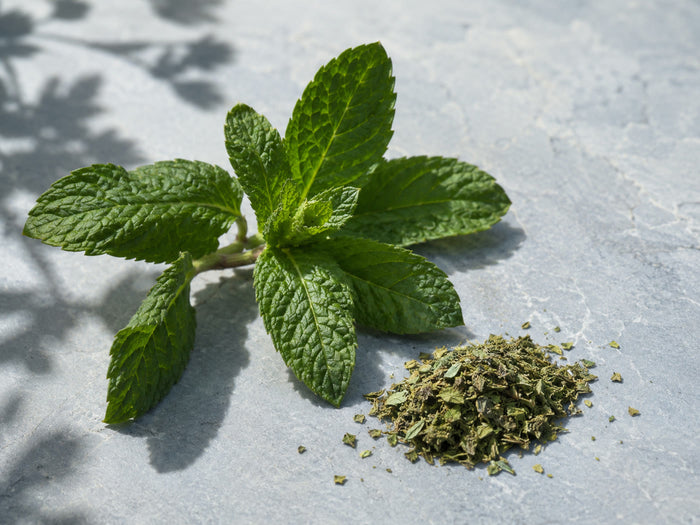 Menthe