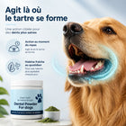 Agit là où le tartre se forme — action au moment du repas et haleine fraîche au quotidien