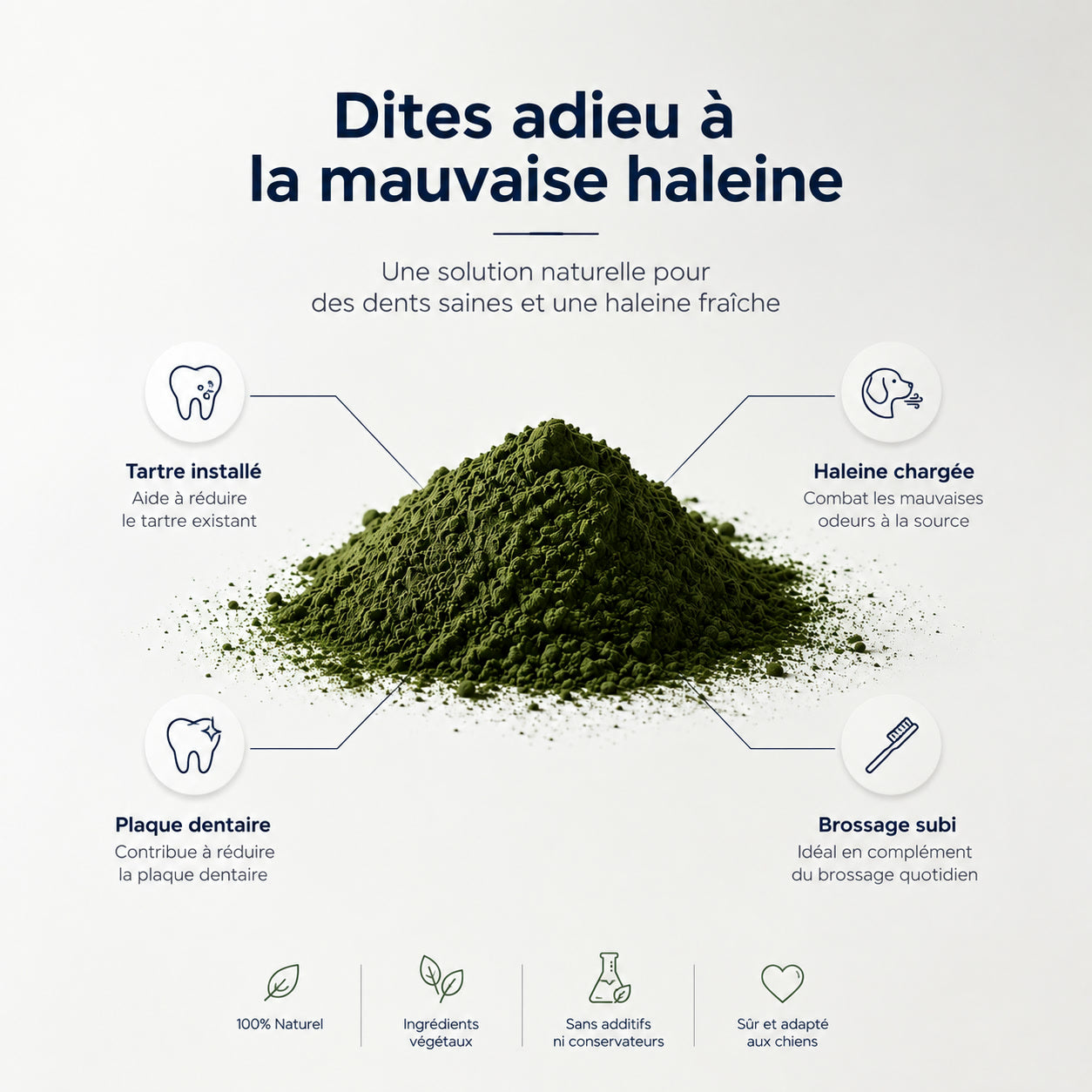 Dites adieu à la mauvaise haleine — poudre naturelle pour dents saines et haleine fraîche