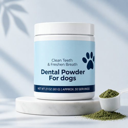 Crocsain — pot de poudre dentaire pour chien avec cuillère doseuse de poudre verte